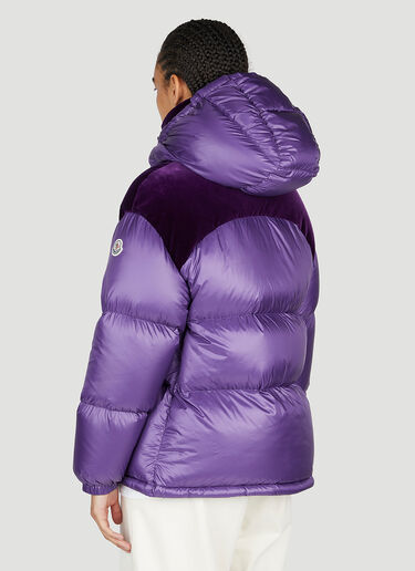 Meandre Down Jacket Moncler Meandre Down Jacket Purple mon0253007