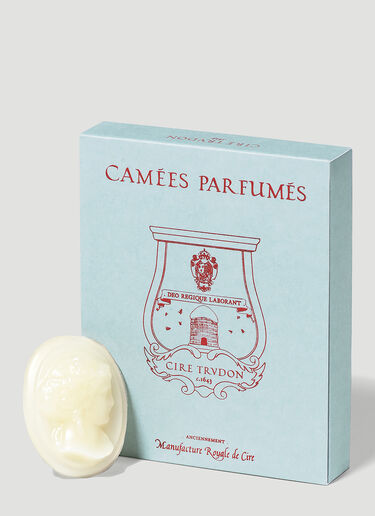 Set Of Four Solis Rex Wax Cameos Trudon Set Of Four Solis Rex Wax Cameos Pink wps0642117