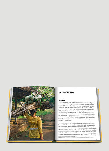 Assouline Bali Mystique Book Yellow wps0690012