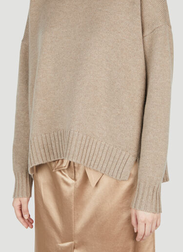 Max Mara Gianna Turtleneck Sweater Beige max0254073