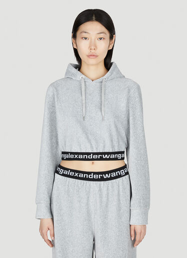Alexander Wang Logo Hooded Sweatshirt Grey awg0251018
