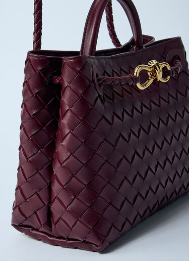 Bottega Veneta 스몰 안디아모 핸드백 버건디 bov0259030