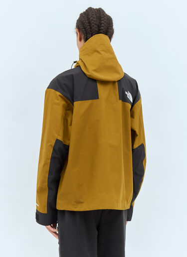 The North Face GTX Mountain Jacket Green tnf0158007