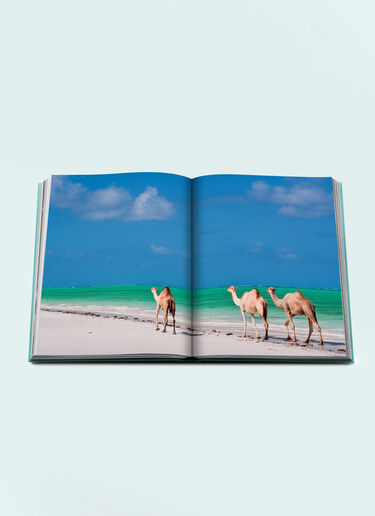 Assouline Red Sea: The Saudi Coast Blue wps0691719