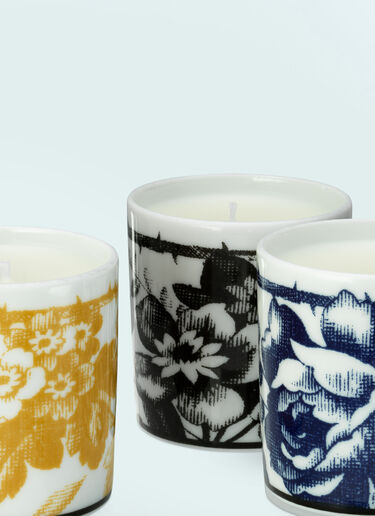 Gucci Set Of Three Herbarium Candles Multicolour wps0691256
