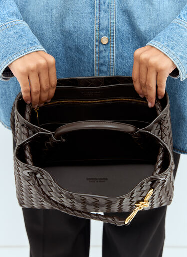 Bottega Veneta 中号 Andiamo 手提包 棕色 bov0254060