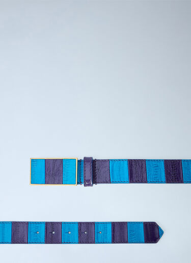 LN-CC® - Dries Van Noten: Striped Leather Belt - Blue Dries Van Noten Striped Leather Belt Blue dvn0264041