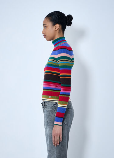 Acne Studios Striped Wool Turtleneck Multicolor acn0264028