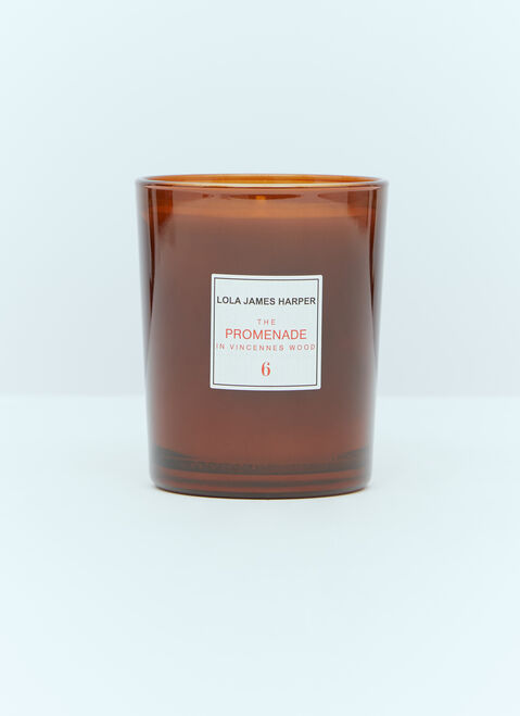 Space Available 6 The Promenade in Vincennes Wood Candle Orange spa0354004