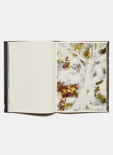 Books Best Before End - Stephen Gill Black don0590106