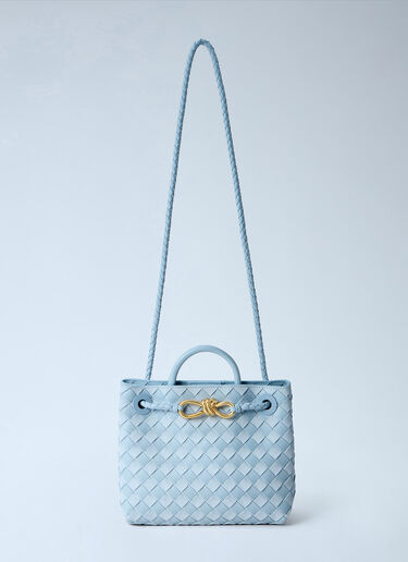 LN-CC® - Bottega Veneta: Small Andiamo Handbag - Light Blue Bottega Veneta Small Andiamo Handbag Light Blue bov0266012