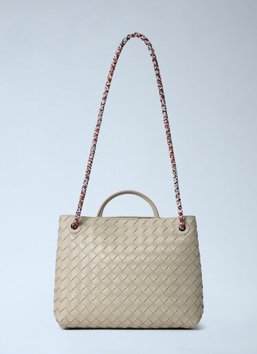 Bottega Veneta 小号 Andiamo 手提包 原色 bov0261054