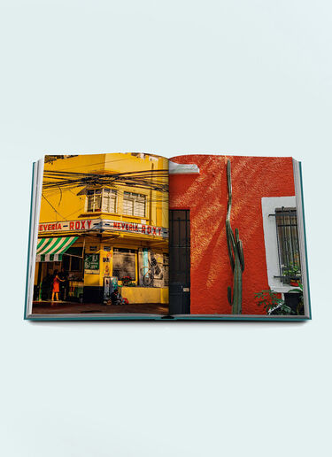 Assouline Mexico City Green wps0691683