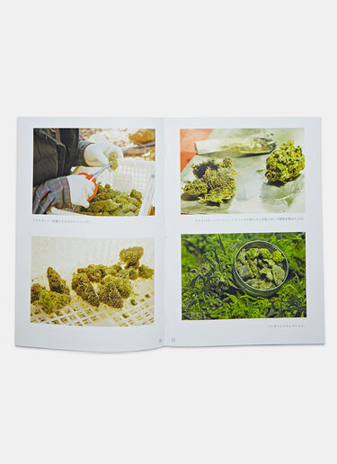 Books Approach to Cannabis by Yusuke Suzuki Black dbn0505086