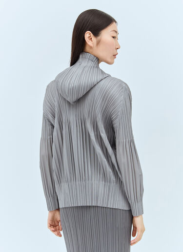 Pleats Please Issey Miyake 褶裥连帽运动衫 灰色 plp0257035