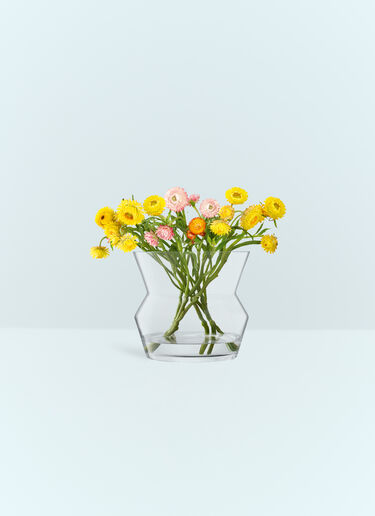 LSA International Medium Sculpt Vase Clear wps0691318