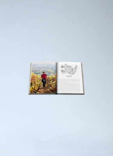 Assouline Wine & Travel France Orange wps0691914
