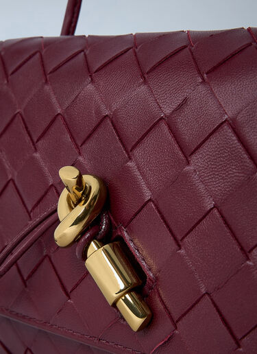 Bottega Veneta Andiamo Crossbody Bag Burgundy bov0262031