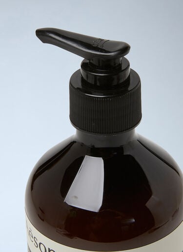 Aesop Reverence Aromatique Hand Wash Brown sop0349010
