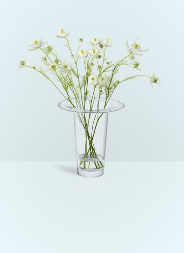 LSA International Medium Victoria Vase Clear wps0691326