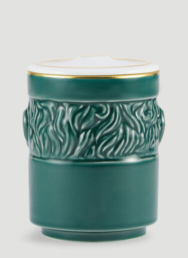 Ginori 1735 The Companion Candle Green wps0670240