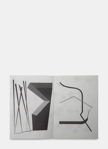 Books Clare Rojas – The Inexhaustible Middle Black ant0505005