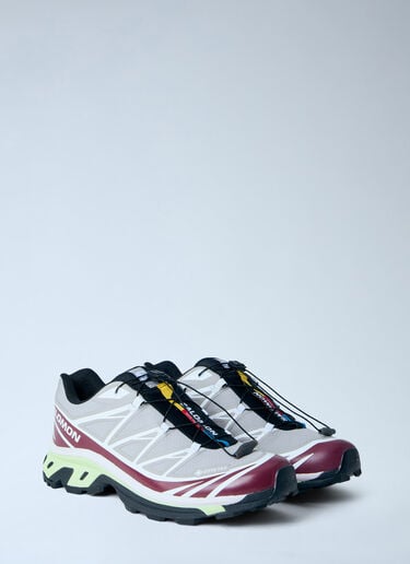 Salomon XT-6 Gore-Tex Sneakers Grey sal0364015