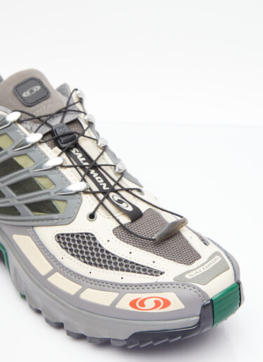 Salomon ACS Pro Sneakers Grey sal0154012