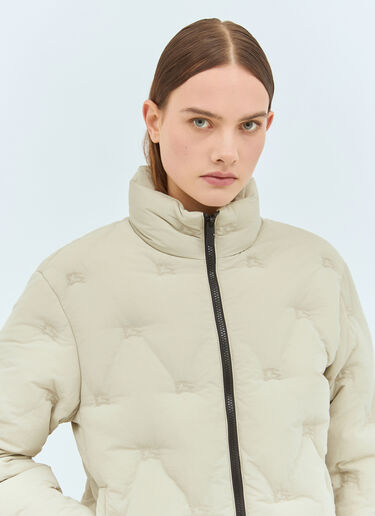 Burberry EKD Nylon Down Jacket Grey bur0257018