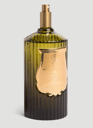 Abd El Kader Room Spray Trudon Abd El Kader Room Spray Green wps0644247