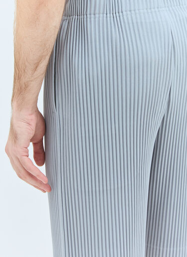 Homme Plissé Issey Miyake Pleated Shorts Grey hmp0158011