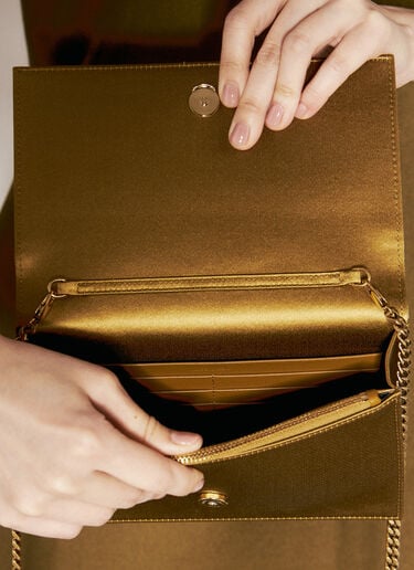 Kate 链带钱包 Saint Laurent Kate 链带钱包 棕色 sla0255101