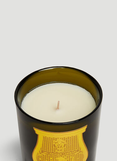 Trudon Cyrnos Candle Green wps0670170