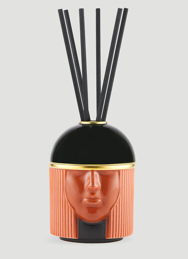 Ginori 1735 The Amazon Fragrance DIffuser Orange wps0670244