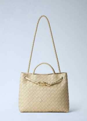 Bottega Veneta Andiamo Medium Handbag Beige bov0263013