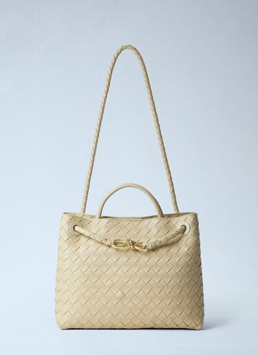 Bottega Veneta Andiamo Medium Handbag Beige bov0263013