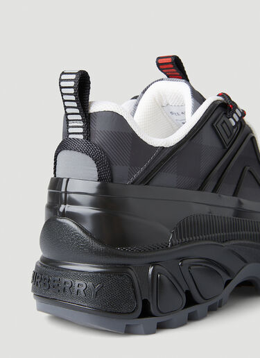 Burberry Check Arthur Sneakers Grey bur0149074