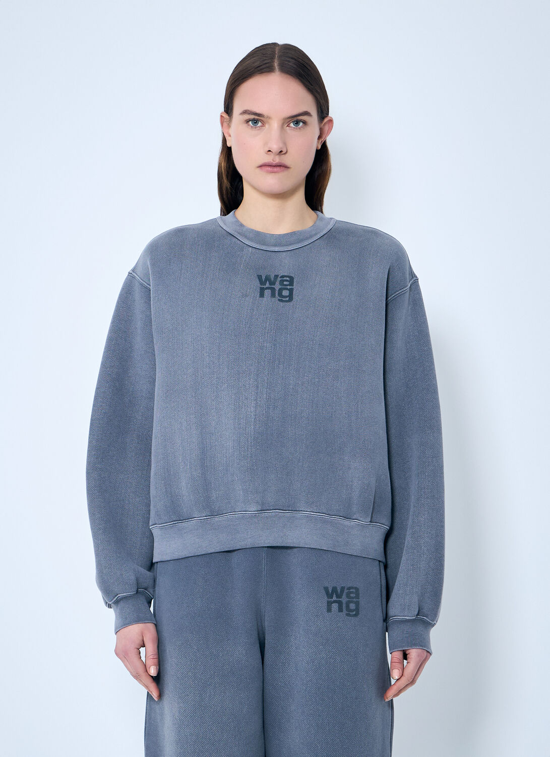 Alexander Wang Women Essential Classic Sweatshirt In Grey