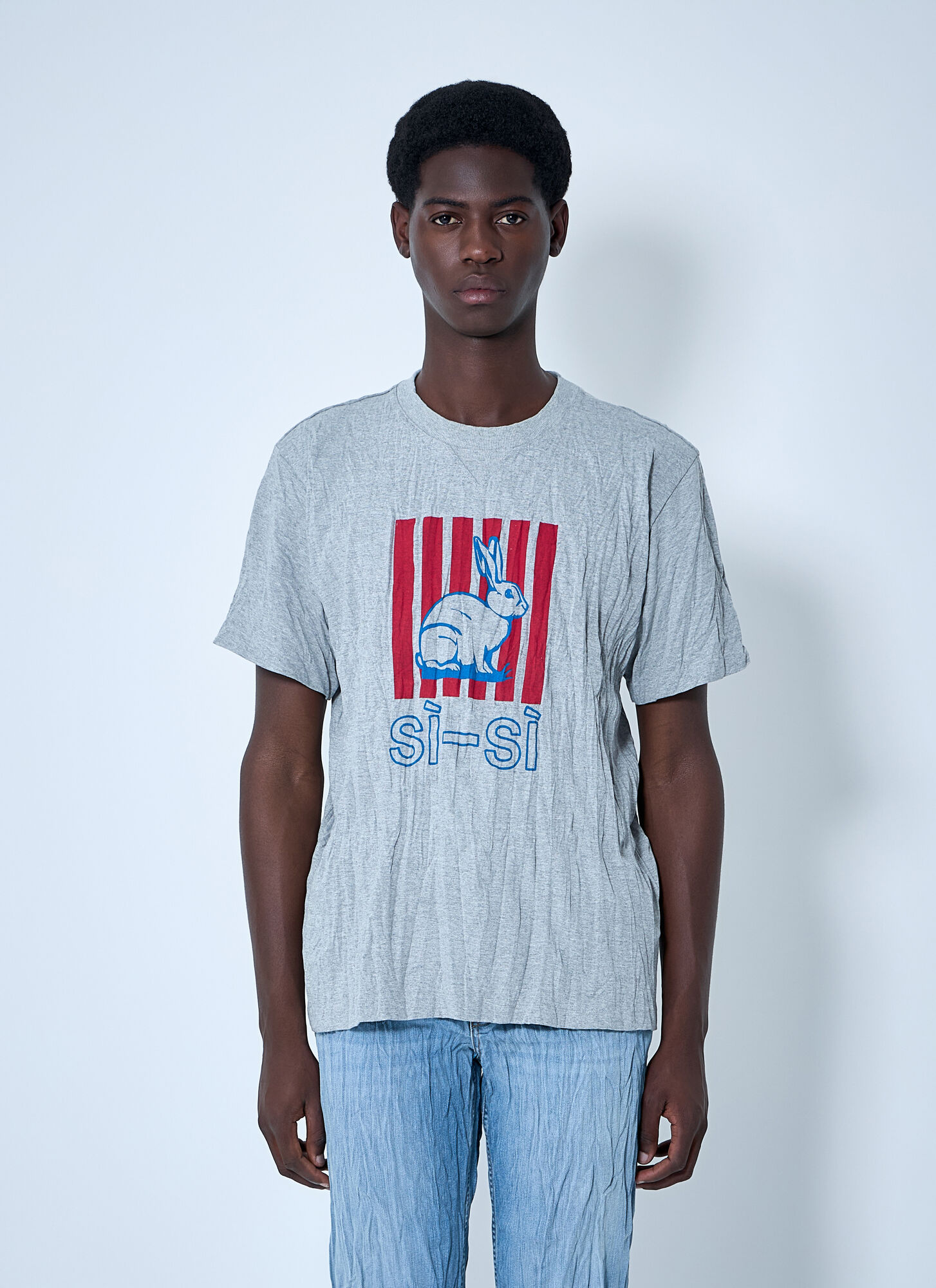 BOTTEGA VENETA Bottega Veneta Crushed Sisi T-shirt - Man T-shirts Grey M　ボッテガ ヴェネタ クラッシュ シシ T シャツ - 男性 T シャツ グレー M