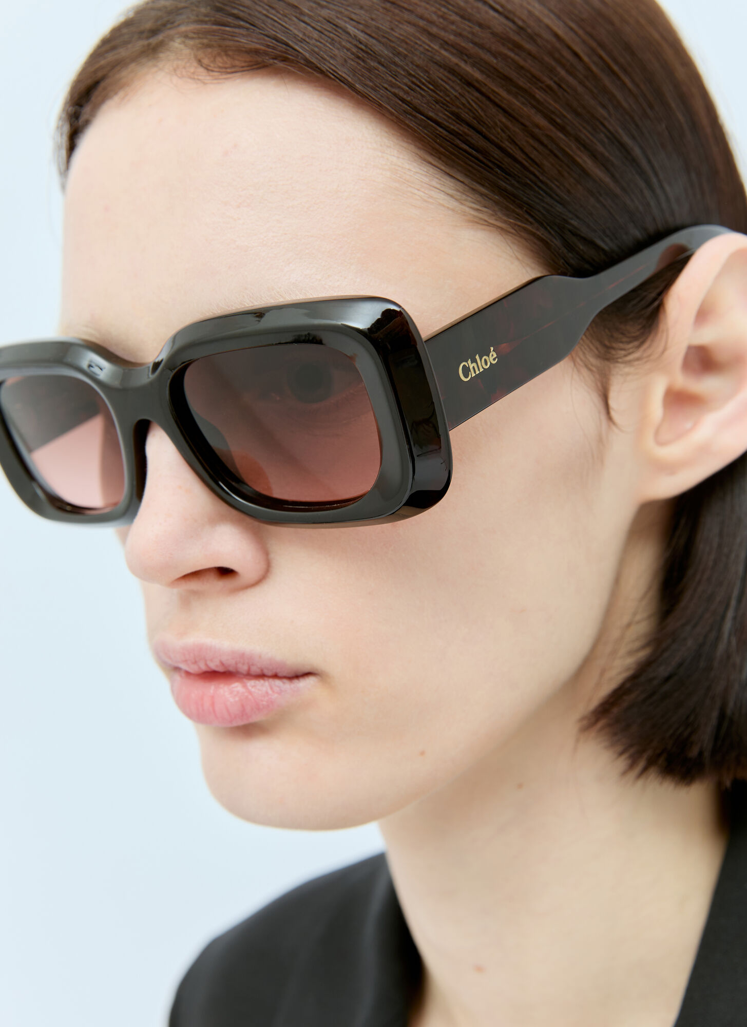 Shop Chloé Gayia Sunglasses In Brown