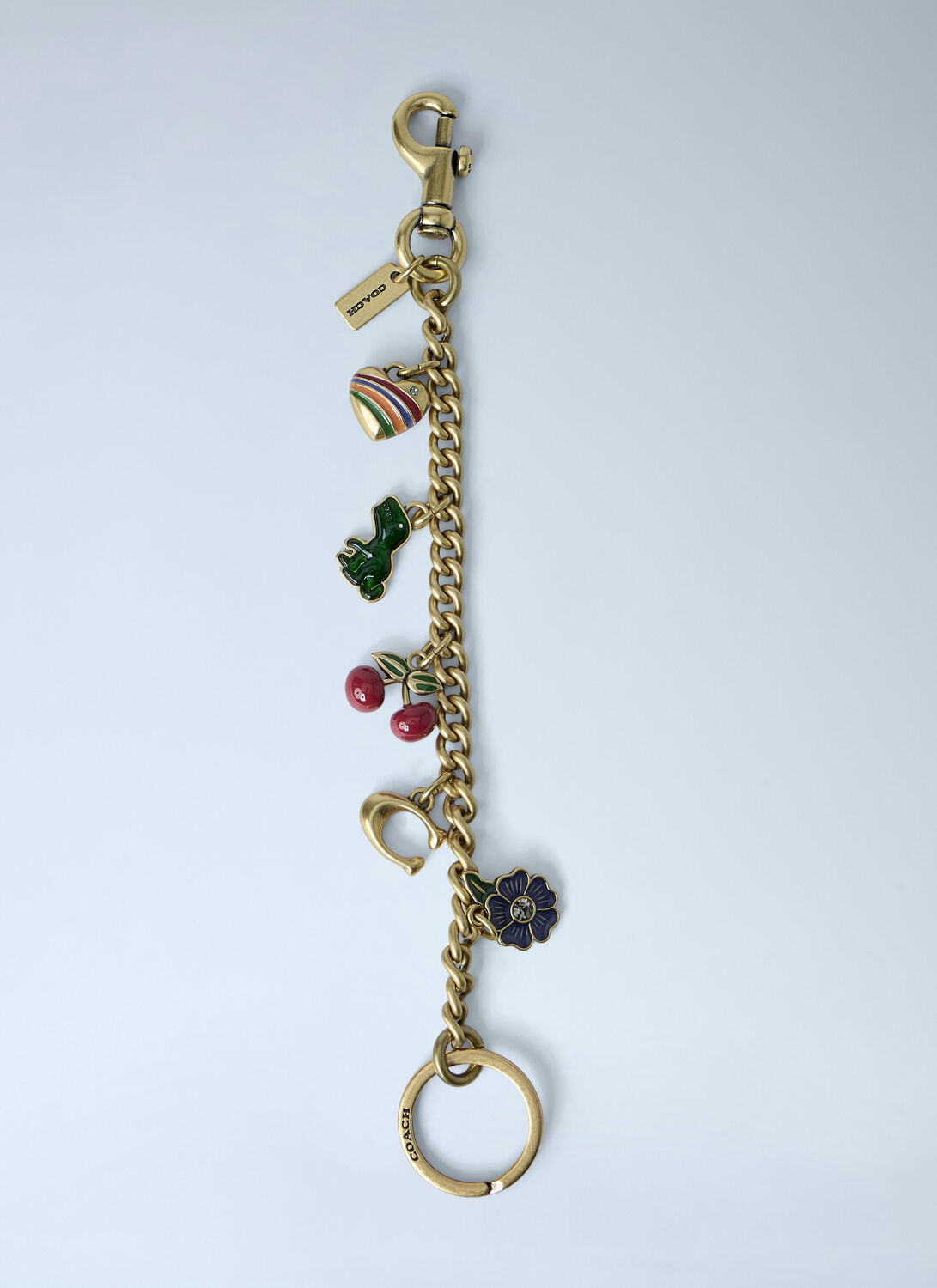 Coach Charm Keychain With Mixed Motifs In Gold