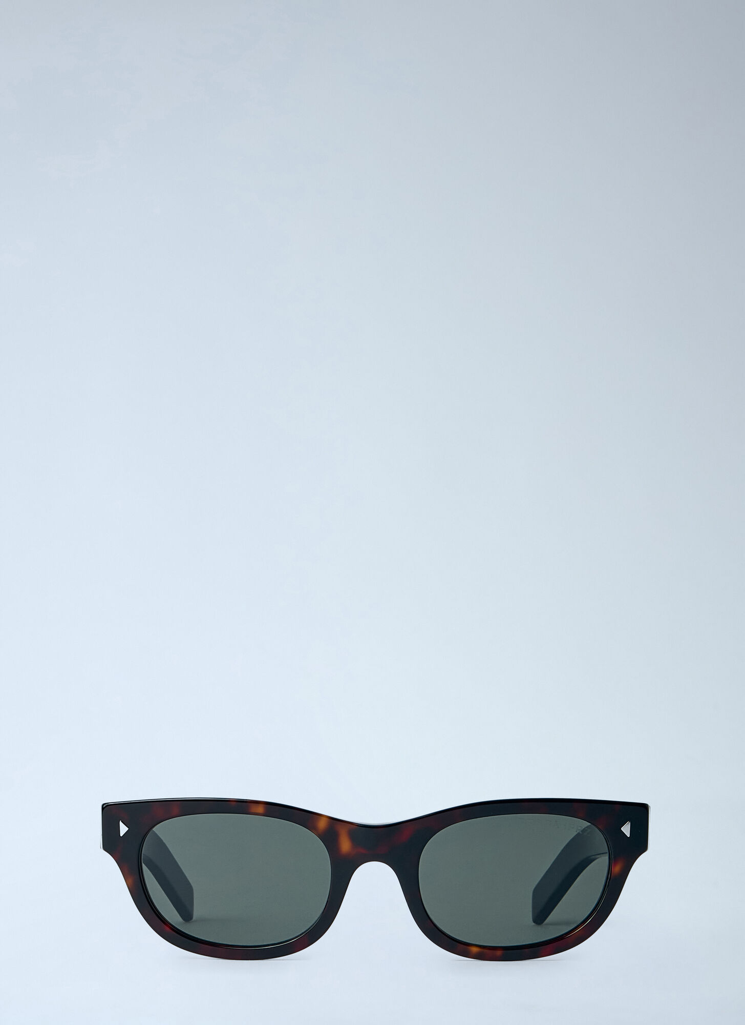 Prada Unisex Brown 0Pr C09s Sunglasses - Sunglasses One Size