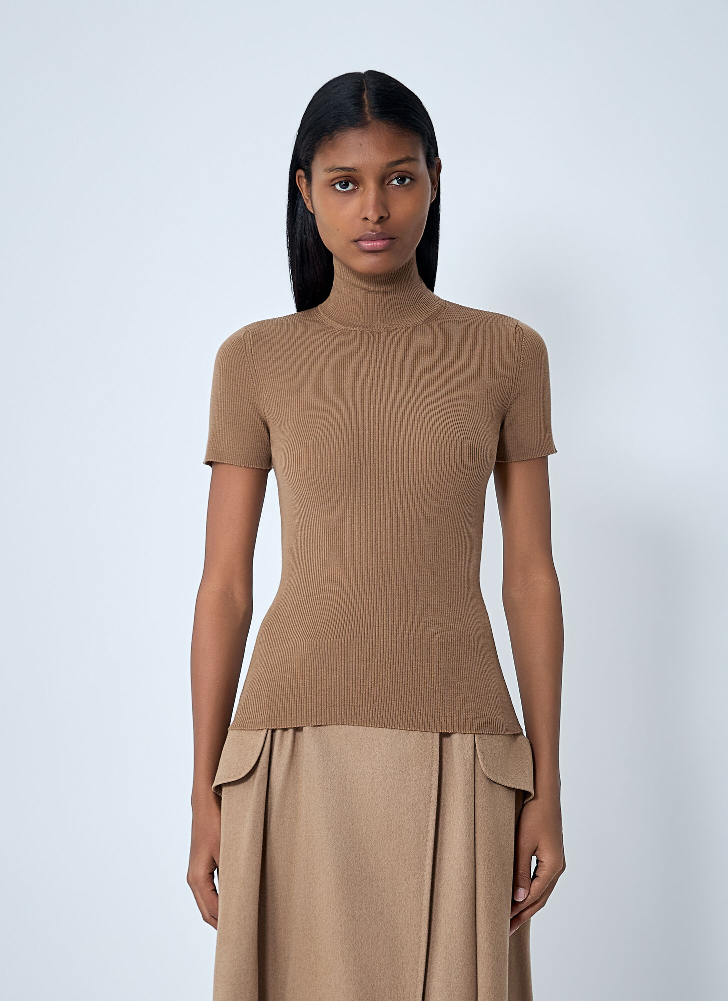 Max Mara Camel Wool Turtleneck In Brown