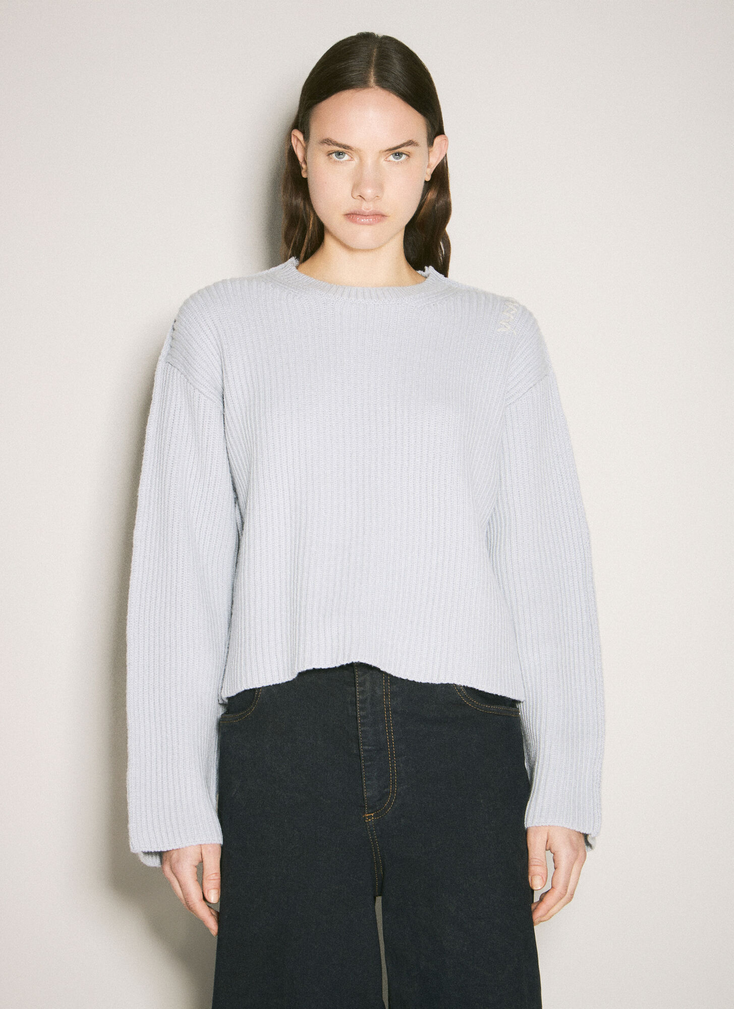 Marni Women's Grey Crewneck Wool Sweater - Woman Knitwear It - 42