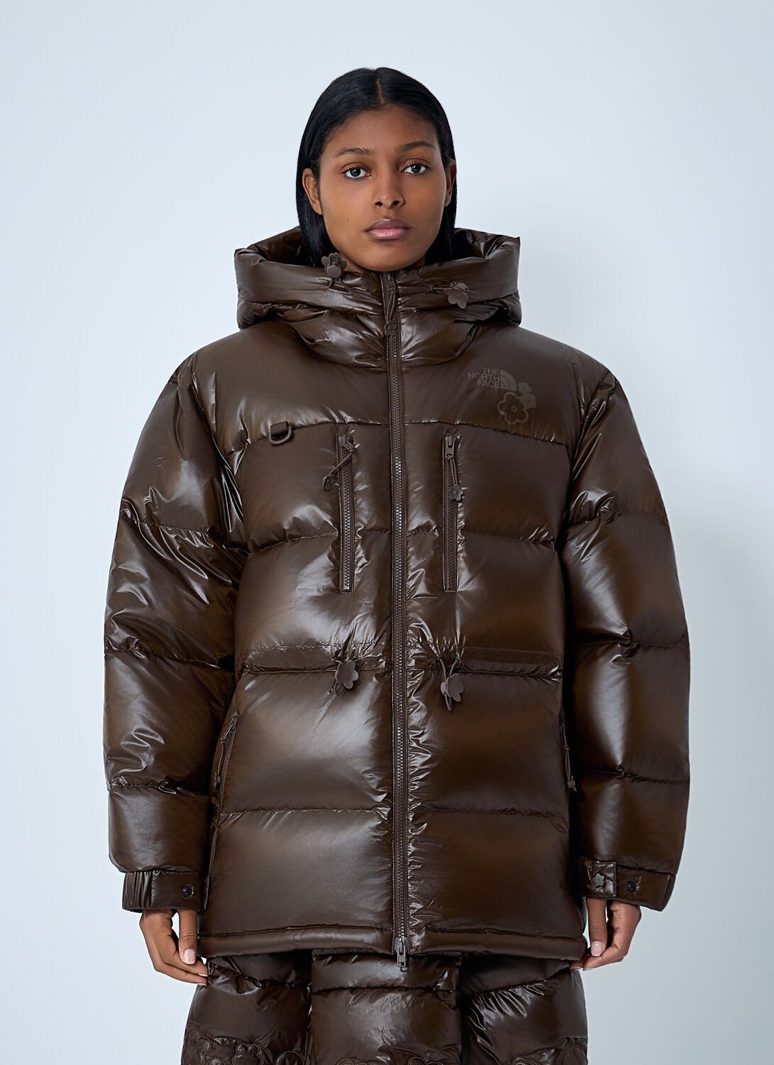The North Face X Cecilie Bahnsen Himalayan Down Jacket In Brown