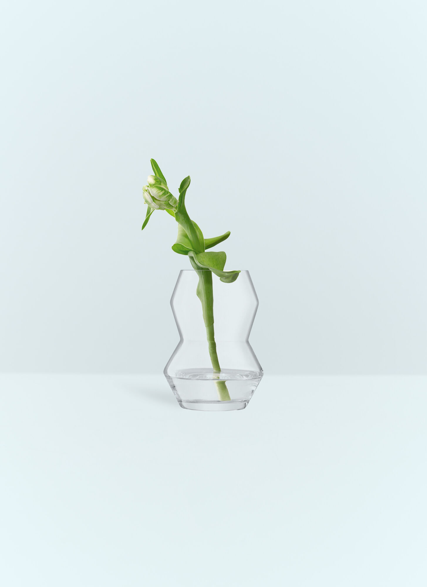  Lsa International Lsa International Small Sculpt Vase -  Vases Clear One Size 