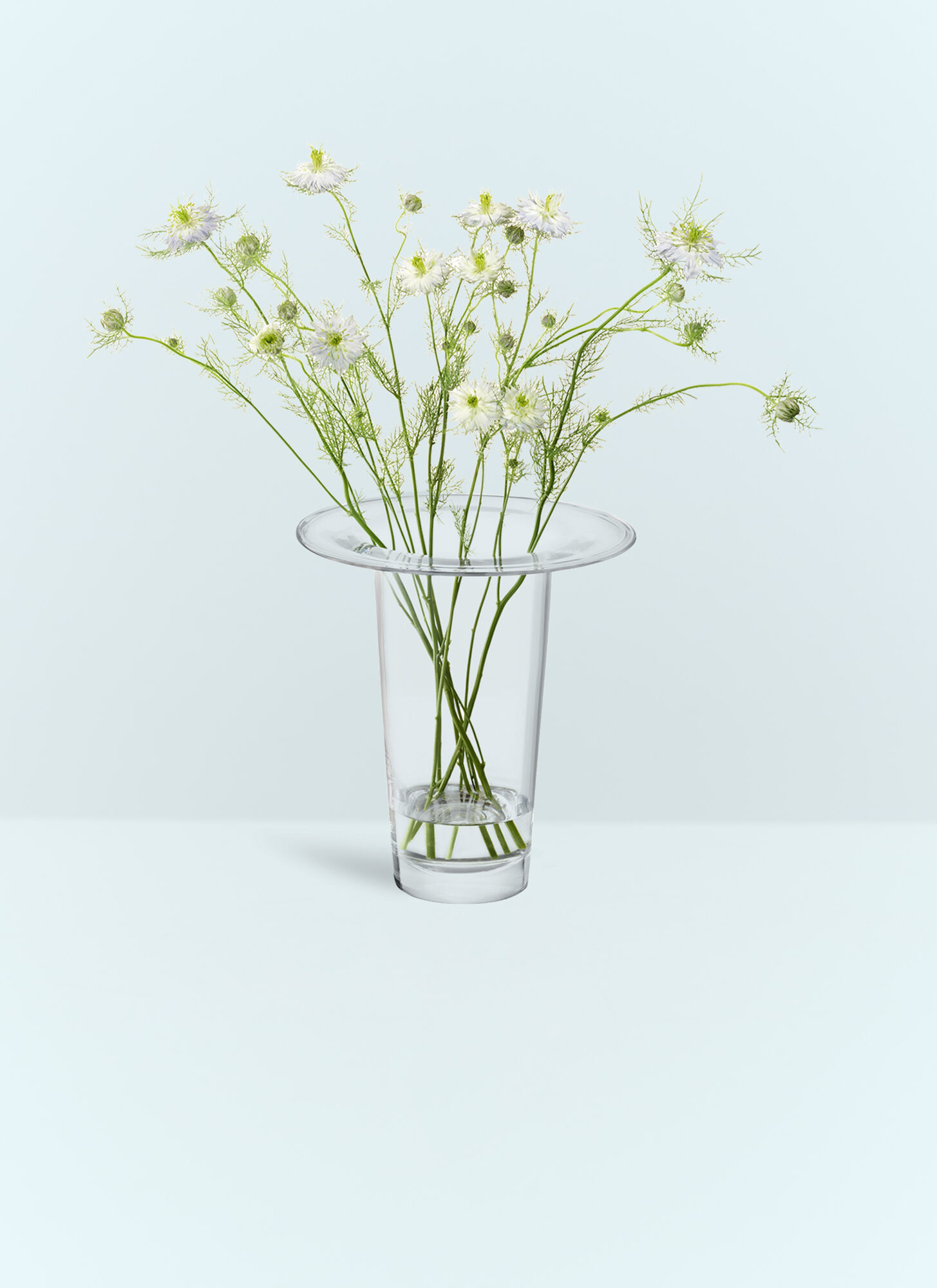  Lsa International Lsa International Medium Victoria Vase -  Vases Clear One Size 