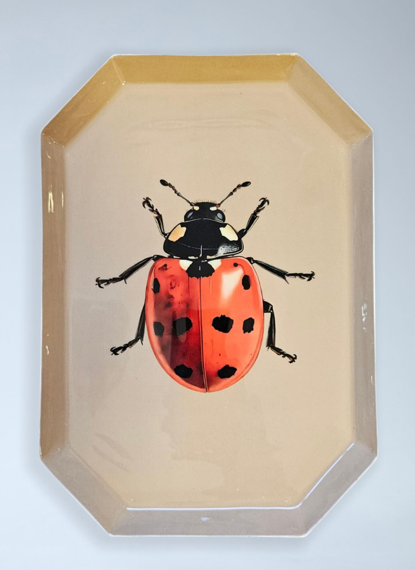 Les-Ottomans Rectangular Ceramic Tray - 厨房 Multicolour One Size