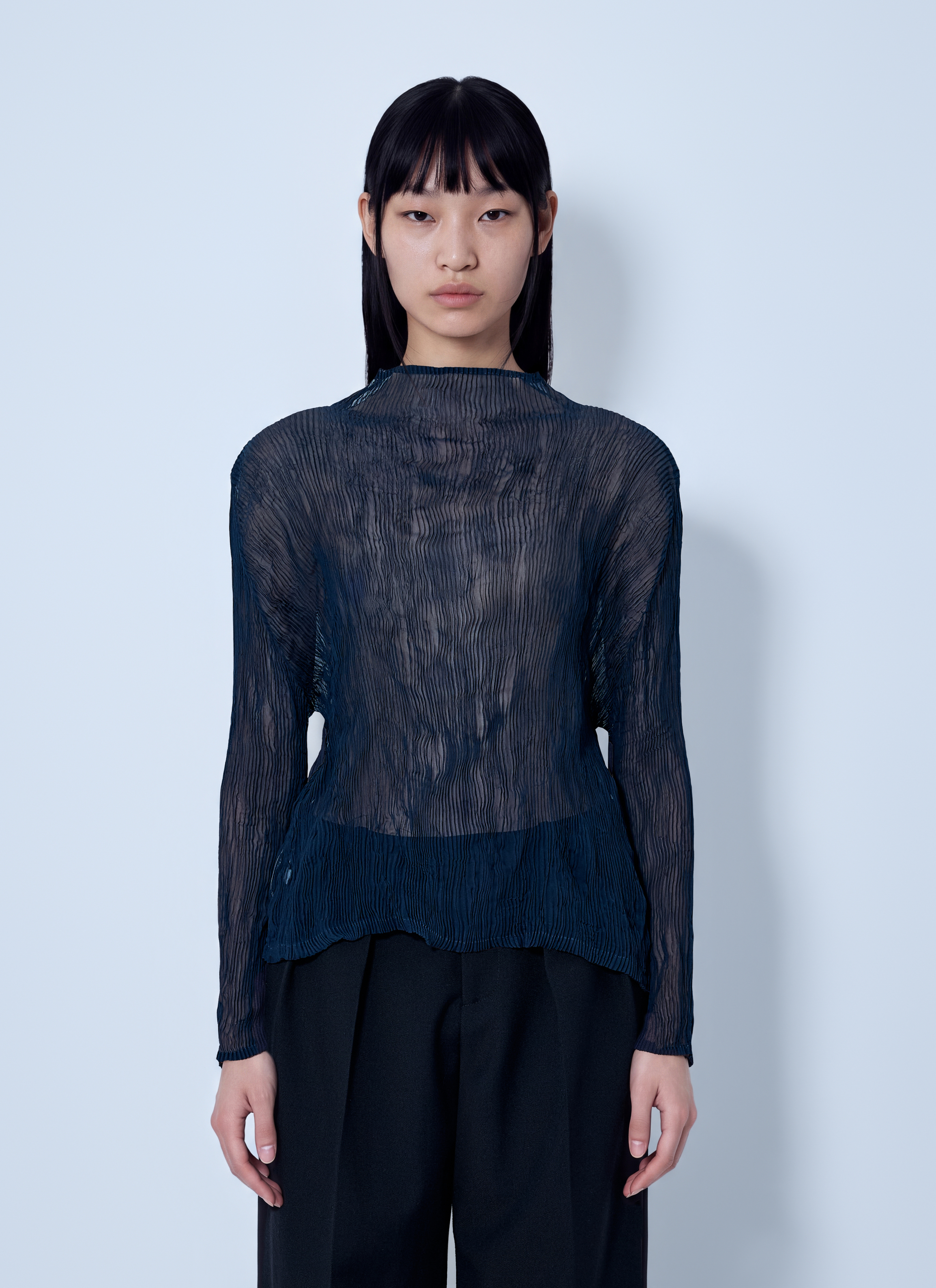 Issey Miyake Issey Miyake Sheer Long Sleeve Top