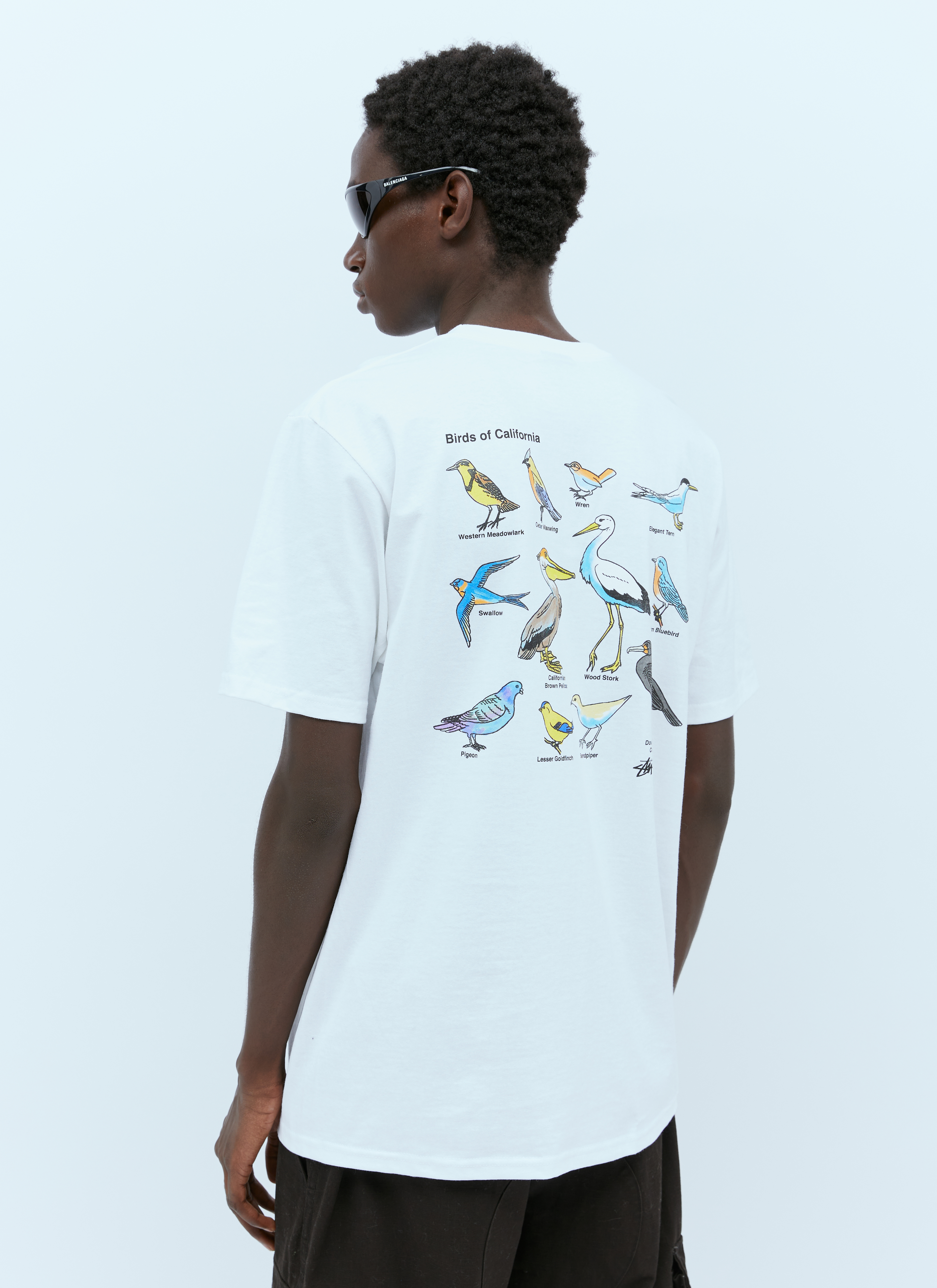 Stüssy California Birds T-Shirt in White | LN-CC®